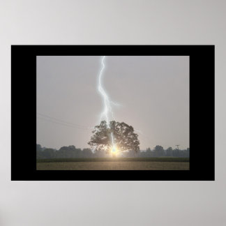 Poster Frappes de foudre Chêne Arbre