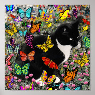Poster Frapules en papillons - Tuxedo Kitty