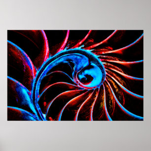 Poster Freaky Nautilus