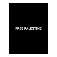 Free Palestine noir blanc texte personnalisé simpl