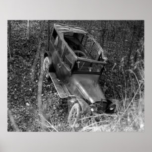 Poster Free Sunroof: 1922