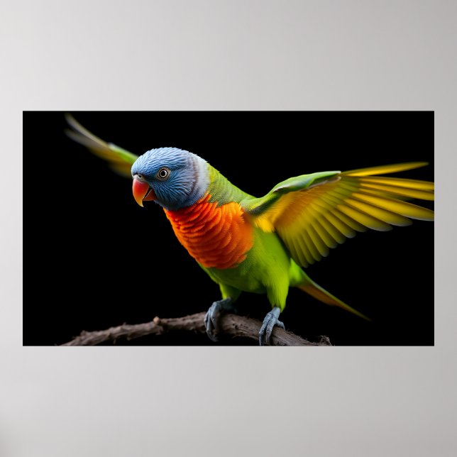 Poster 🌈 Freedom Flight Lorikeet - Dynamic Rainbow (Devant)