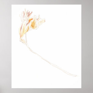 Poster Freesia No. 3 séché