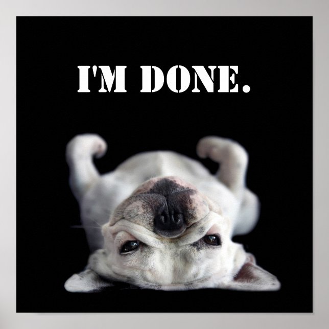 Poster French Bulldog (Devant)