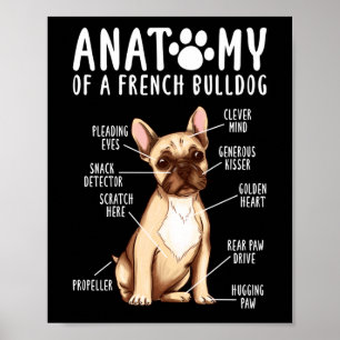Poster Frenchie Anatomie D'Un Français Bulldog Maman Papa