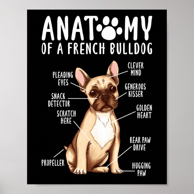 Poster Frenchie Anatomie D'Un Français Bulldog Maman Papa (Devant)