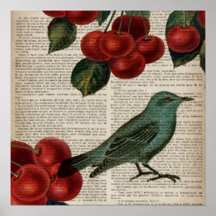 Poster frentry bird retro botanical red cherry