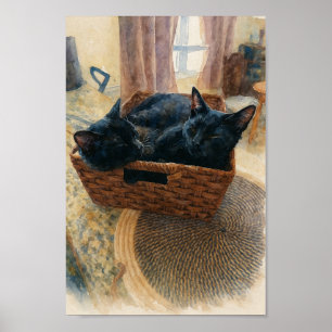 Poster Frère et soeur amour de chat