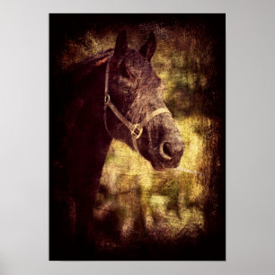 Poster Fresian Grunge