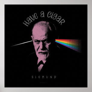 Poster Freud Rose (Avoir Un Cigar)