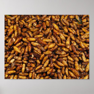 Poster Fried Silk Worms ... Thai Street Food
