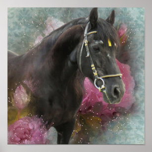 Poster Friesian Horse - Art Print