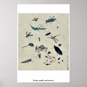 Poster Frogs, snails, and insects