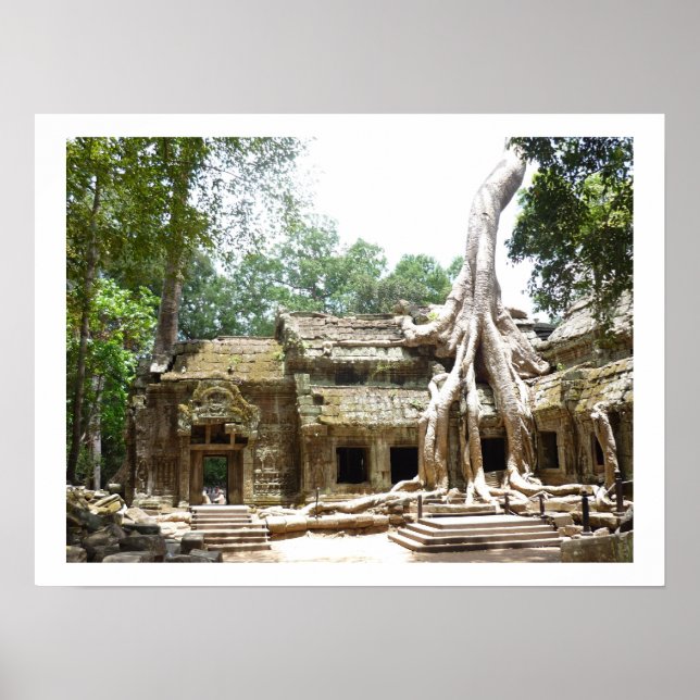 Poster frontière de l'arbre à prohm (Devant)