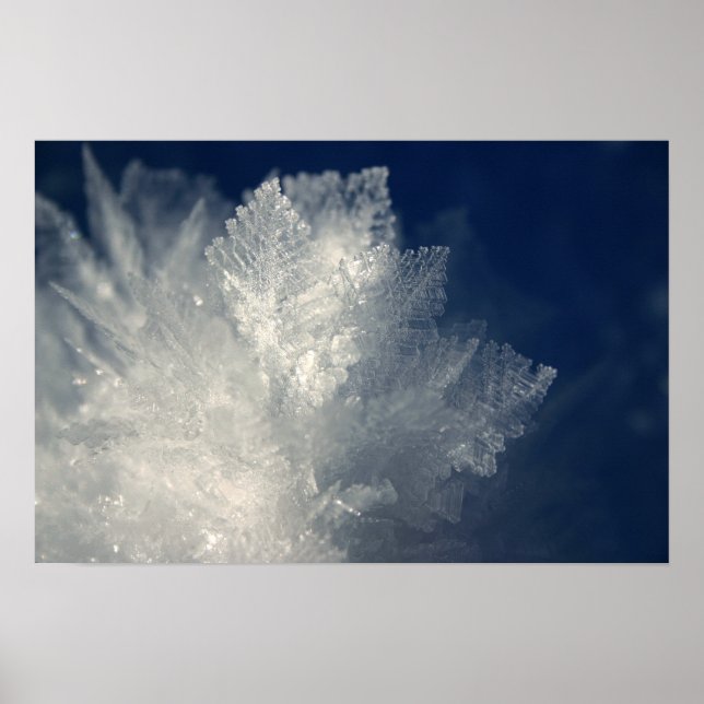 Poster Frost (Devant)