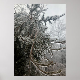 Poster Frost d'hiver