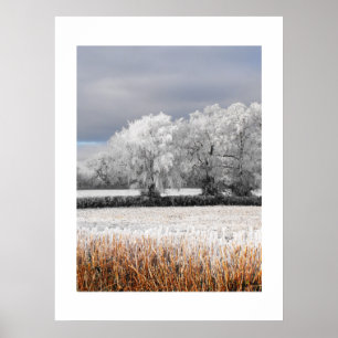 Poster Frosty fields and trees