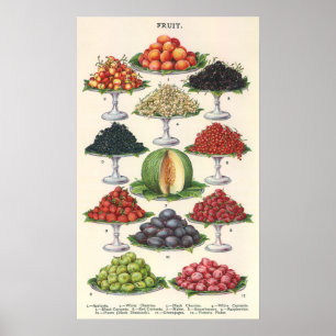 Poster Fruit assorti par nourritures vintages sur des