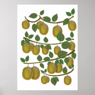 Poster Fruit Kiwi