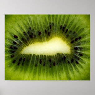 Poster Fruit Kiwi