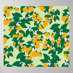 Poster Fruit orange : motif vintage vert.