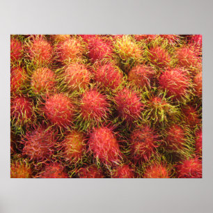 Poster Fruit tropical rambutan