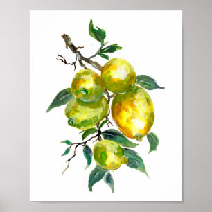 Poster Fruits de citron suspendus à une branche d'arbre