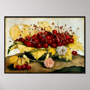 POSTER FRUITS DE SAISON / CHERRIES ET CARNATIONS