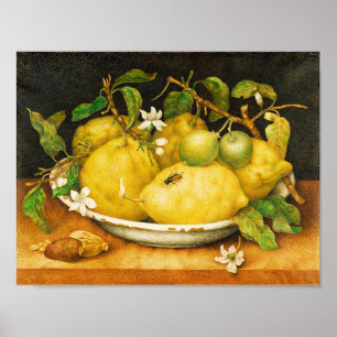 POSTER FRUITS DE SAISON LÉMONS ET FLEURS BLANCHES