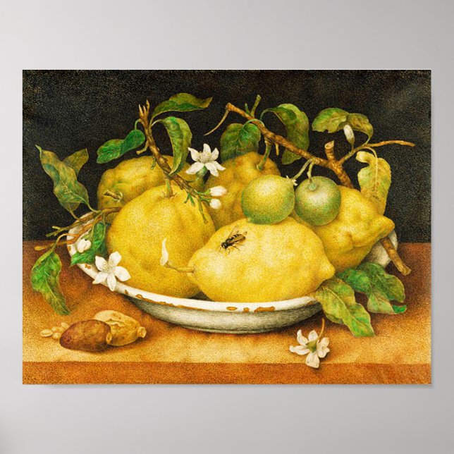 POSTER FRUITS DE SAISON LÉMONS ET FLEURS BLANCHES (Devant)