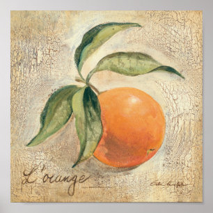 Poster Fruits ronds et orange