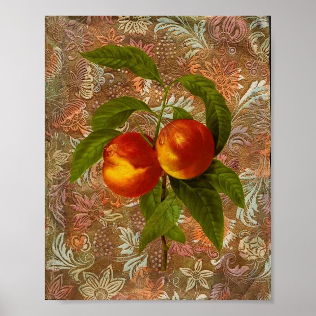 Poster Fruits vintages (Devant)