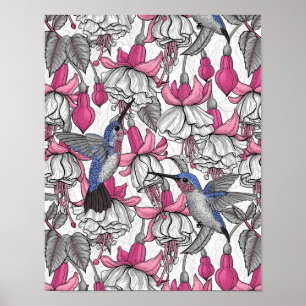 Poster Fuchsia et colibris blancs