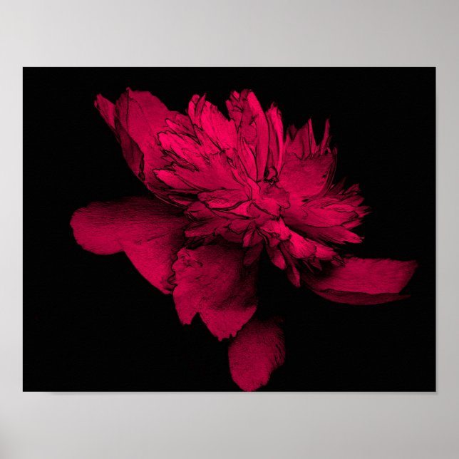 Poster Fuchsia Peony Flower Abstrait Floral Art (Devant)