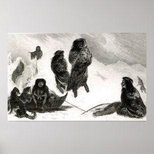 Poster Fuegians allant commercer Zapallos