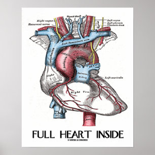 Poster Full Heart Inside Anatomical Illustration