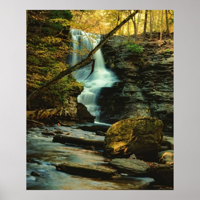 Poster Fulmer Falls (Devant)