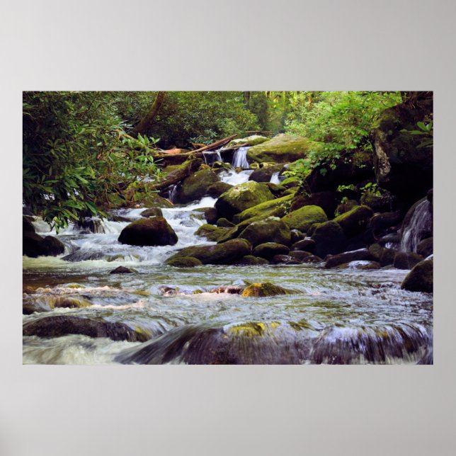 Poster Fumé Mountain Stream - GSMNP (Devant)