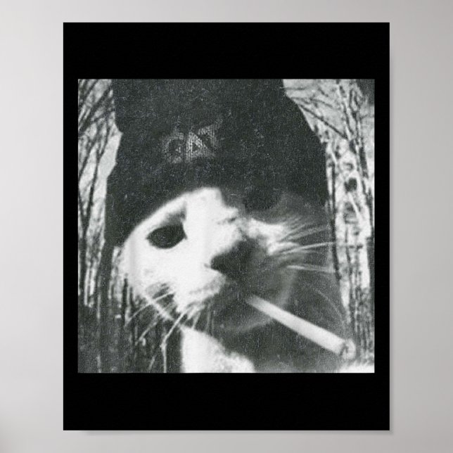 Poster Fumer Chat Beanie Mème Grunge Aesthétique Drôle T (Devant)