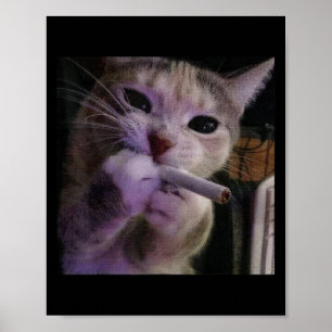 Poster Fumer drôle Chat, Cigarette Kitty Gen Z Mème, Chat