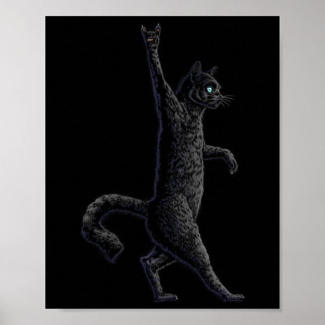 Poster Fun Cat Rock On Rock And Roll - Concert Band Tee - (Devant)