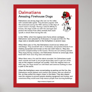 Poster Fun Facts sur Dalmatiens Firehouse Dogs