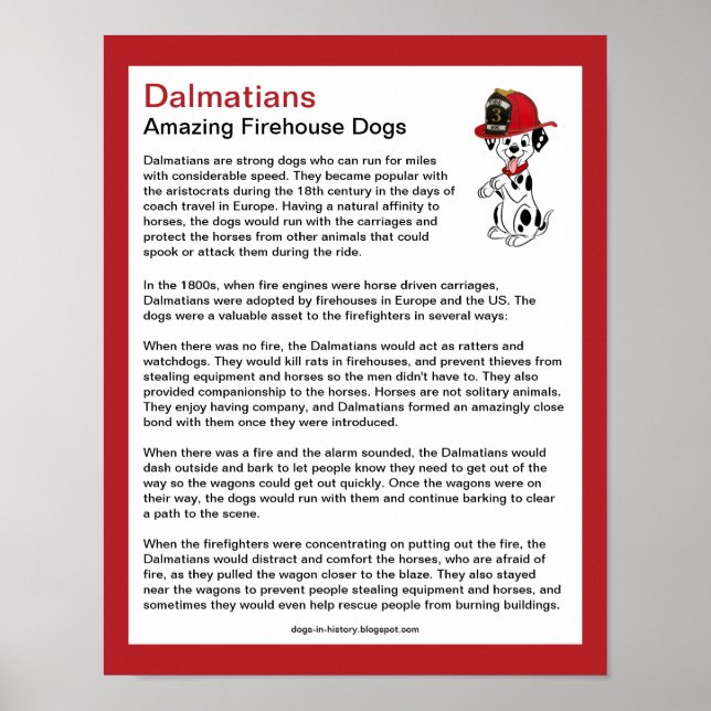 Poster Fun Facts sur Dalmatiens Firehouse Dogs (Devant)
