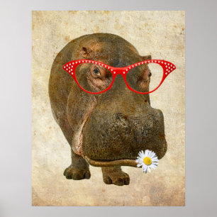 Poster funky Hippopotamus !