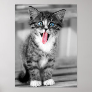Poster Funny