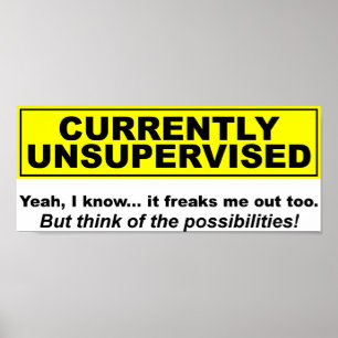 Poster Funny actuellement non surveillé