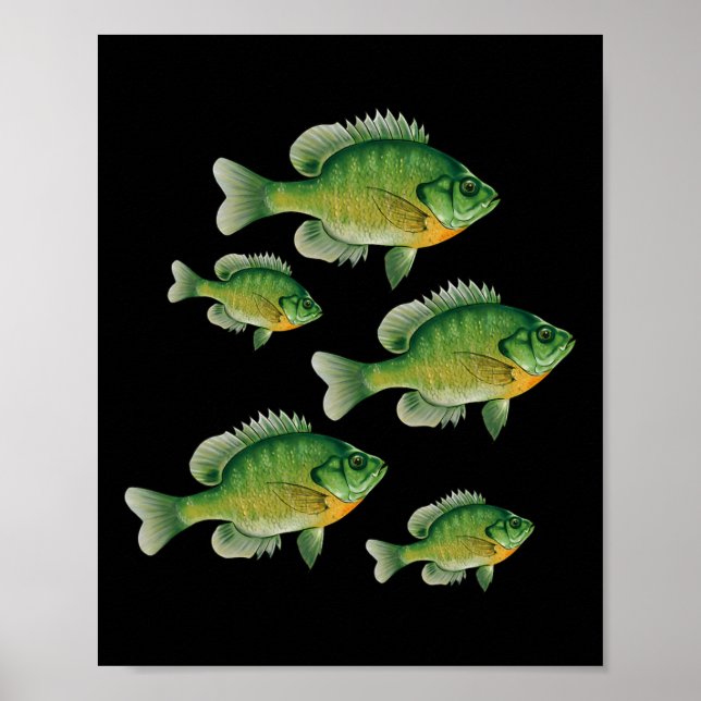 Poster Funny Bluegill Sunfish Fishing Freshwater Fish Ang (Devant)