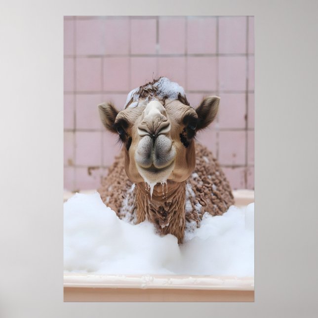 Poster Funny Camel Bubble Bath Art, Whimsical Animal (Devant)