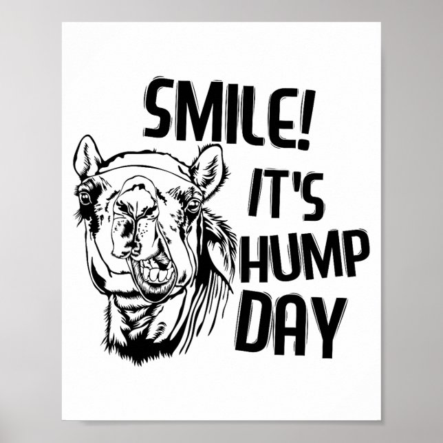Poster Funny Camel Smile! It's Hump Day Funny Hump Day  (Devant)