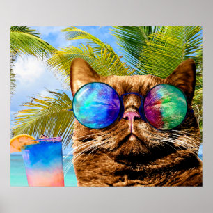 Poster Funny Cat